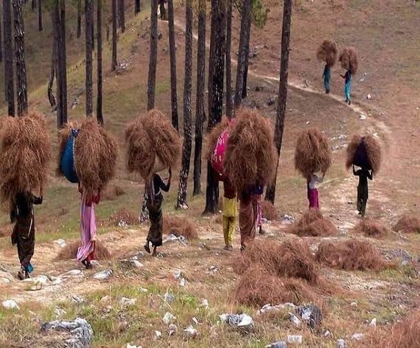 राज्य के नीति-नियंताओं और कार्यदायी संस्थाओं की हकीकत