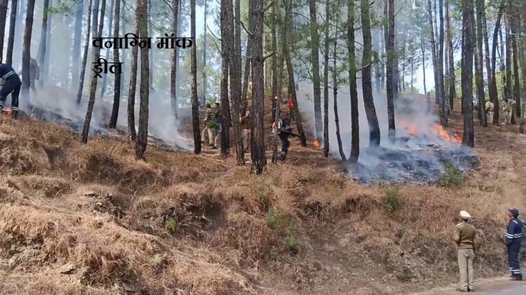 आगामी 13 फरवरी, 2025 को होने जा रही वनाग्नि मॉक ड्रील की तैयारीयों को लेकर वीसी के माध्यम से बैठक