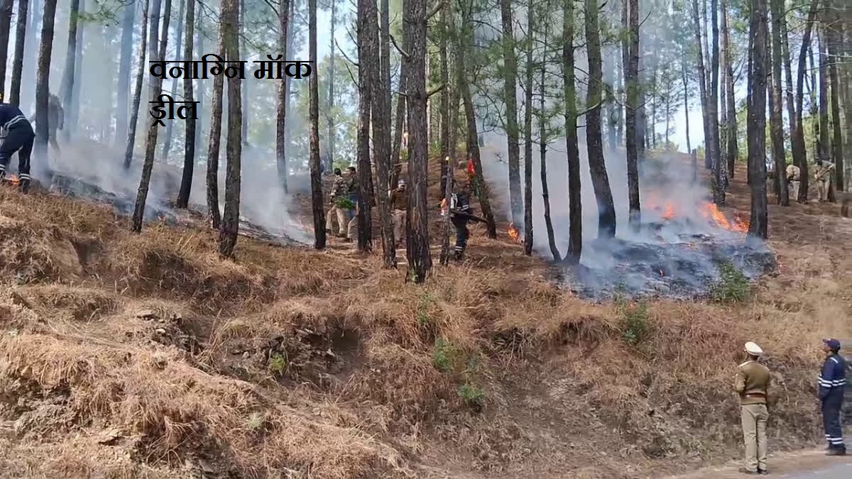 आगामी 13 फरवरी, 2025 को होने जा रही वनाग्नि मॉक ड्रील की तैयारीयों को लेकर वीसी के माध्यम से बैठक