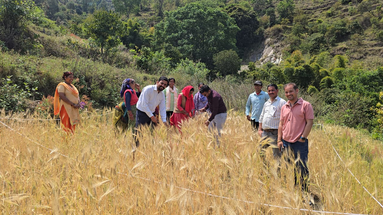 WhatsApp Image 2025-04-17 at 2.23.33 PM