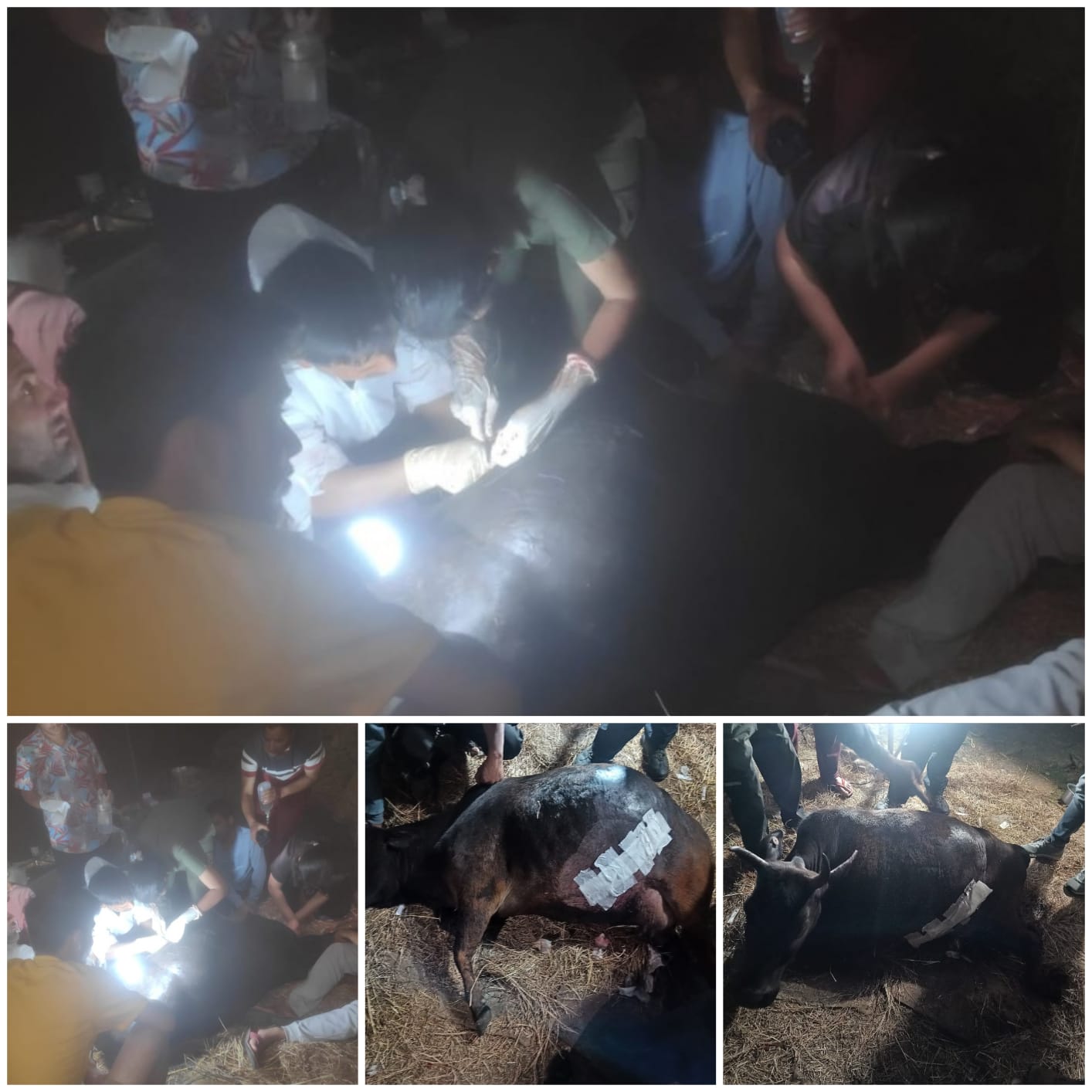 WhatsApp Image 2025-04-30 at 4.52.54 PM