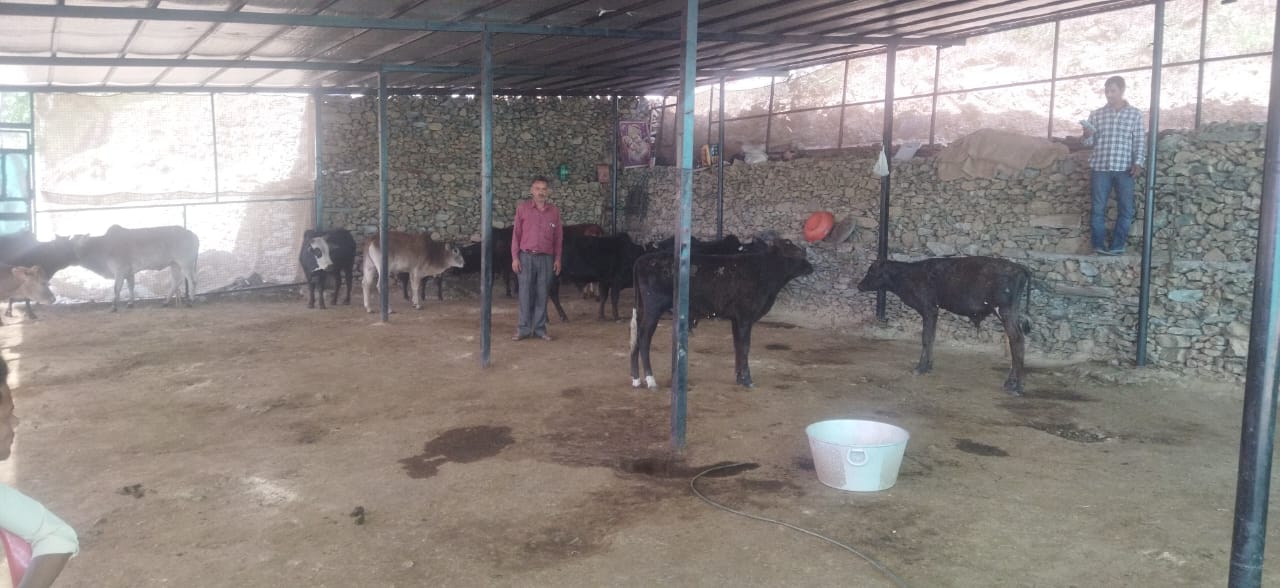 जिलाधिकारी डॉ. आशीष चौहान के निर्देशन में ग्राम्य गो सेवक योजना के अंतर्गत गो-संरक्षण और ग्रामीण आजीविका को बढ़ावा देने हेतु पशुपालन विभाग द्वारा सराहनीय कदम