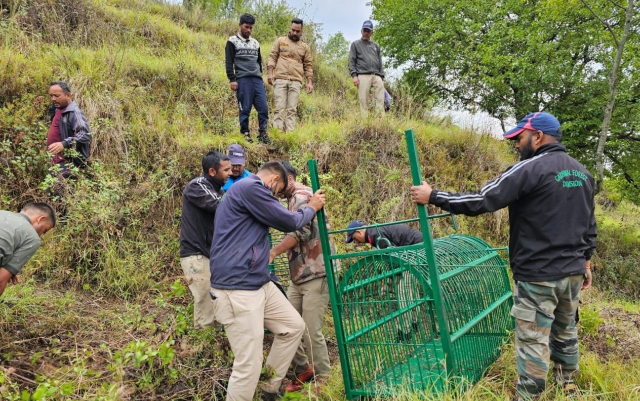 ग्रामीण की मौत के बाद वन विभाग की दो टीमें तैनात, पिंजरे और ट्रैंक्विलाइजिंग टीम सक्रिय