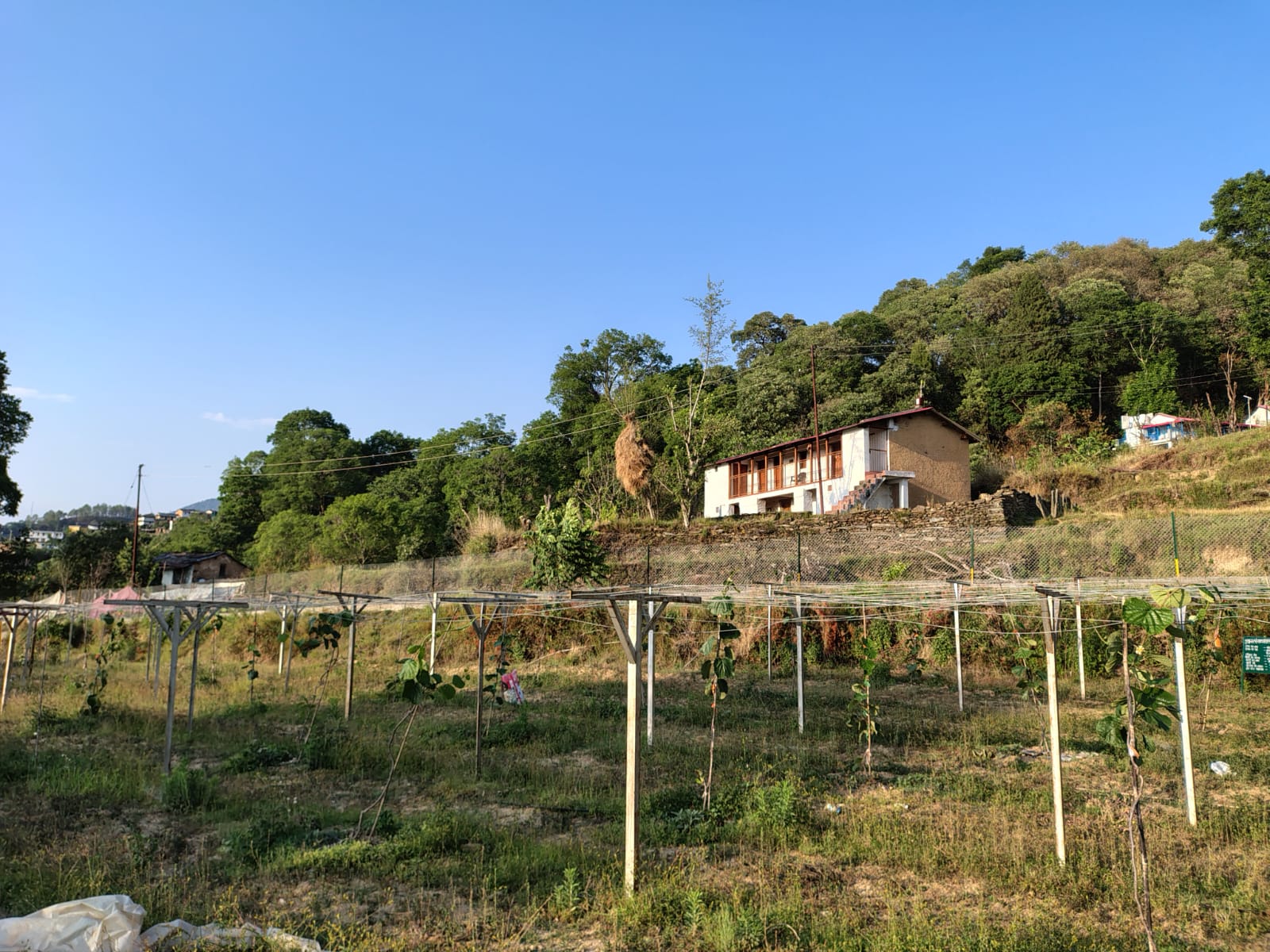 रिवर्स पलायन को सकारात्मक दिशा देते हुए विकासखंड एकेश्वर के दो युवाओं ने सरकारी योजनाओं का लाभ उठाकर आत्मनिर्भरता की प्रेरणादायक मिसाल पेश की है।