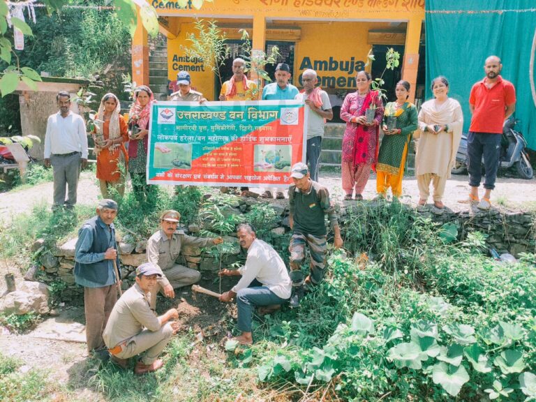 पर्यावरण पर्व हरेला का पर्व बड़े हर्षोल्लास के साथ बनाया गया