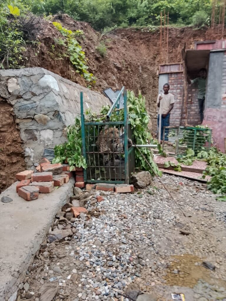 गंगा दर्शन क्षेत्र में मचा रखा था आतंक