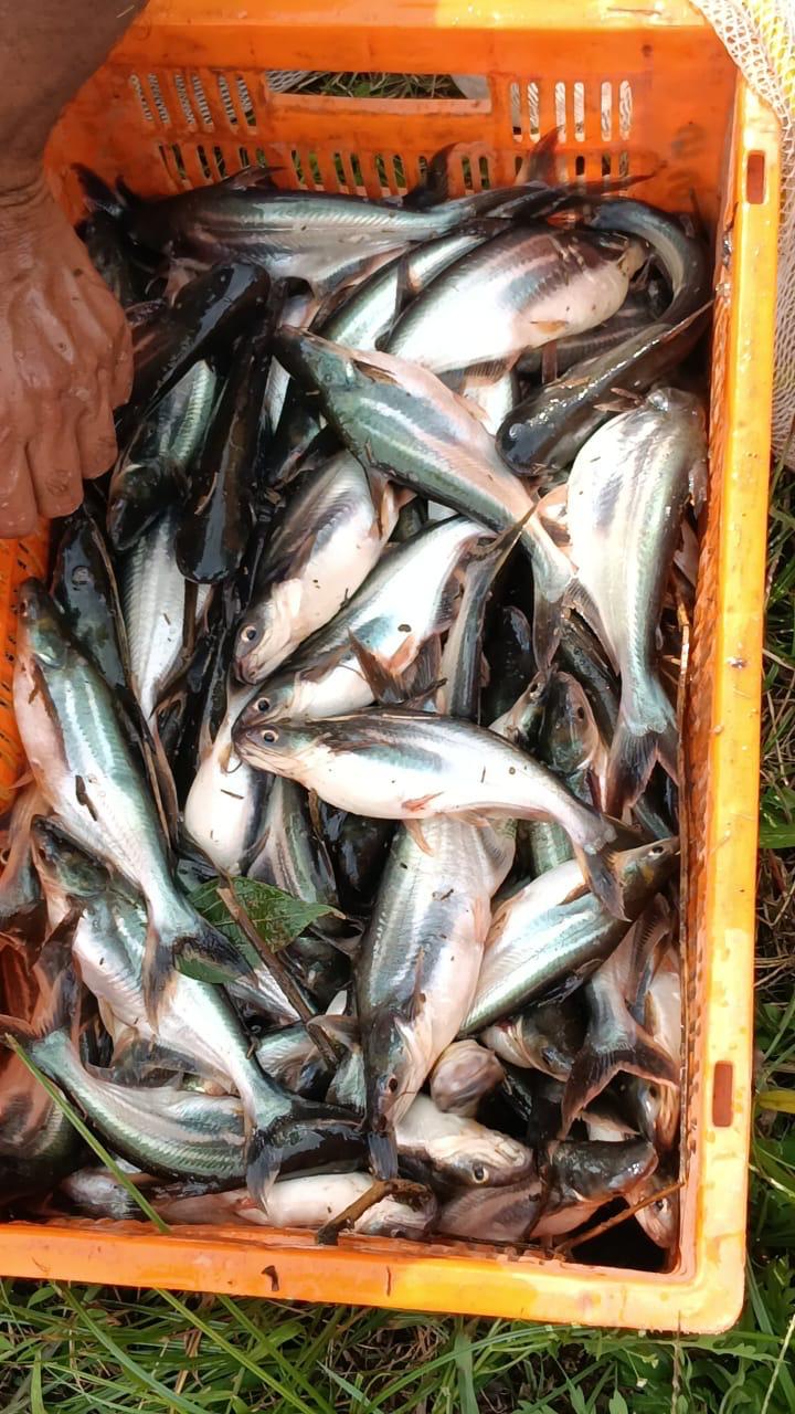 IMG-20260906-WA0078